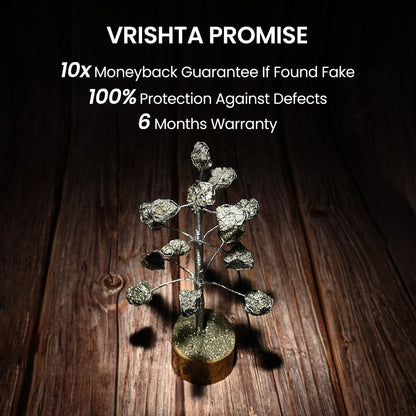 Vrishta Pyrite Lump Stones