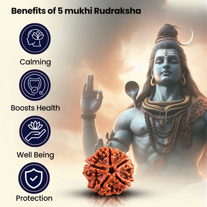 Vrishta Original Gold Plated 5 Mukhi Rudraksha Bracelet