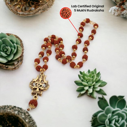 Gold Plated 5 Mukhi Rudraksh Om Shiva Necklace