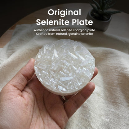 Vrishta Dhan Vriddhi Combo