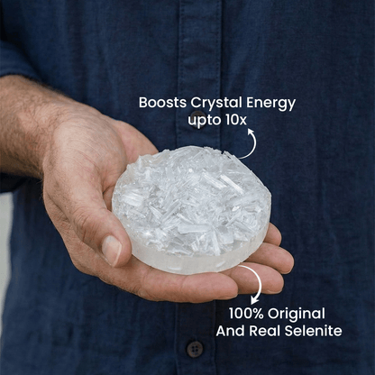 Vrishta Dhan Vriddhi Combo