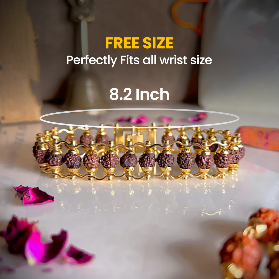 Vrishta Original Gold Plated 5 Mukhi Rudraksha Bracelet