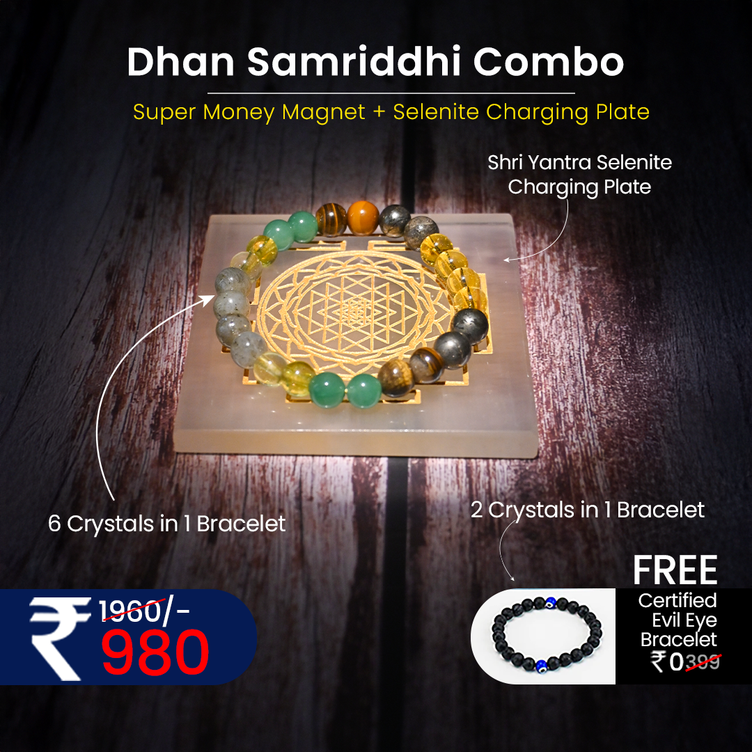 Vrishta Shri Yantra Dhan Samriddhi Combo