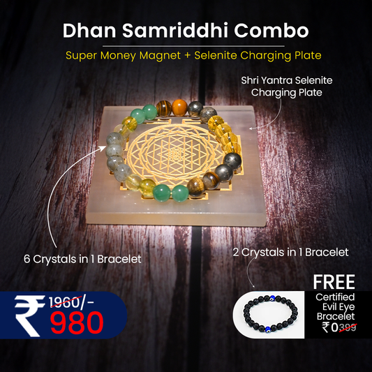 Vrishta Shri Yantra Dhan Samriddhi Combo