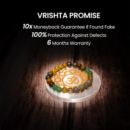 Vrishta Om Dhan Samriddhi Combo