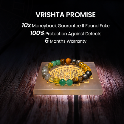Vrishta Shri Yantra Dhan Samriddhi Combo