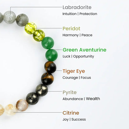 Vrishta Money Magnet Bracelet with labeled stones and vibrant healing colors.
